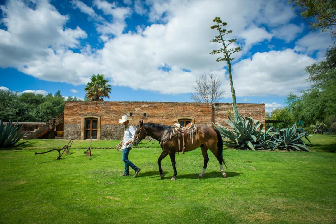 Hacienda Sepulveda Hotel & Spa (Adults Only) Lagos de Moreno Exterior photo