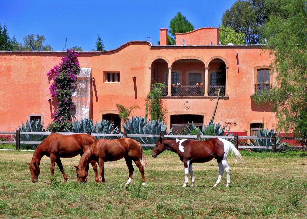 Hacienda Sepulveda Hotel & Spa (Adults Only) Lagos de Moreno Exterior photo